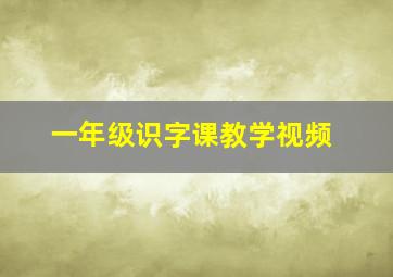 一年级识字课教学视频