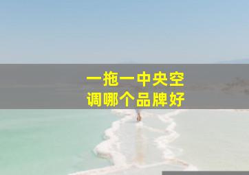 一拖一中央空调哪个品牌好