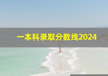 一本科录取分数线2024