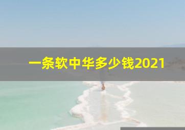 一条软中华多少钱2021