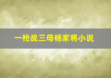 一枪战三母杨家将小说