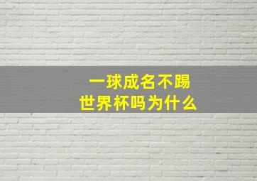 一球成名不踢世界杯吗为什么