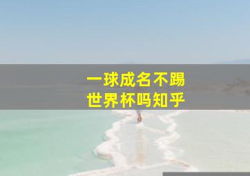 一球成名不踢世界杯吗知乎