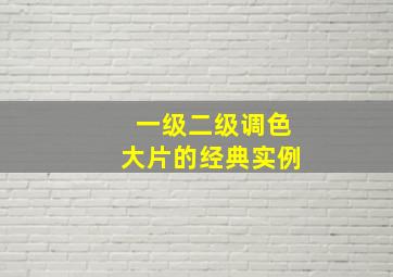 一级二级调色大片的经典实例