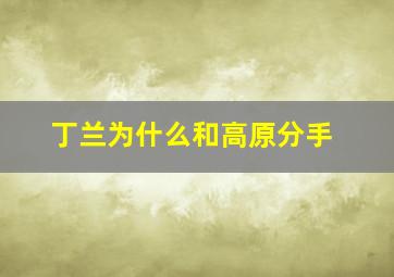 丁兰为什么和高原分手