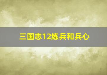 三国志12练兵和兵心