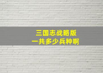 三国志战略版一共多少兵种啊