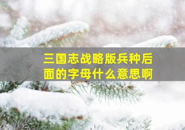 三国志战略版兵种后面的字母什么意思啊