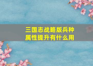 三国志战略版兵种属性提升有什么用