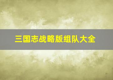 三国志战略版组队大全