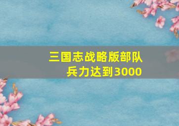 三国志战略版部队兵力达到3000