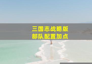 三国志战略版部队配置加点