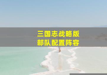 三国志战略版部队配置阵容