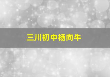 三川初中杨向牛