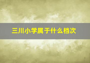 三川小学属于什么档次