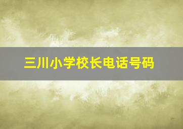 三川小学校长电话号码