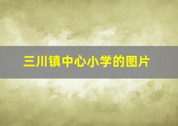 三川镇中心小学的图片