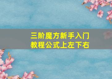 三阶魔方新手入门教程公式上左下右