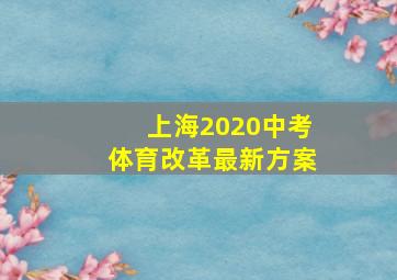 上海2020中考体育改革最新方案