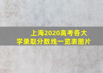 上海2020高考各大学录取分数线一览表图片