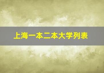 上海一本二本大学列表