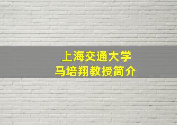 上海交通大学马培翔教授简介