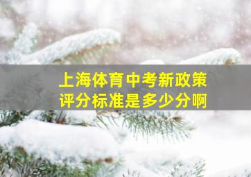 上海体育中考新政策评分标准是多少分啊