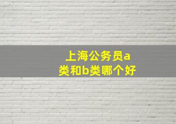 上海公务员a类和b类哪个好