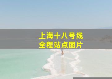 上海十八号线全程站点图片