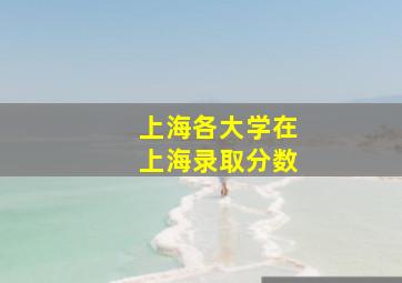 上海各大学在上海录取分数