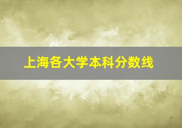 上海各大学本科分数线