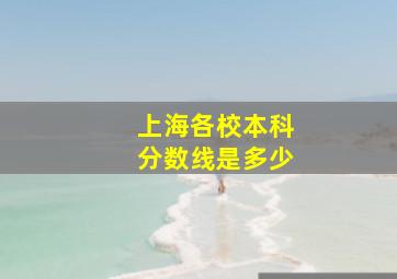 上海各校本科分数线是多少