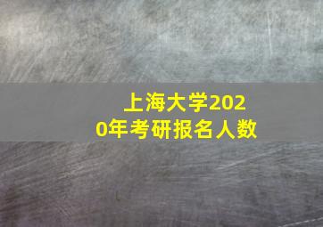 上海大学2020年考研报名人数