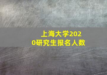 上海大学2020研究生报名人数