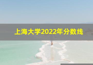 上海大学2022年分数线