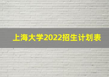 上海大学2022招生计划表