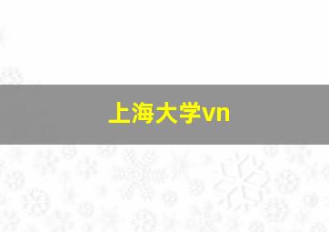 上海大学vn