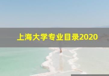 上海大学专业目录2020