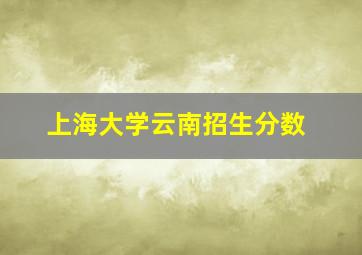 上海大学云南招生分数