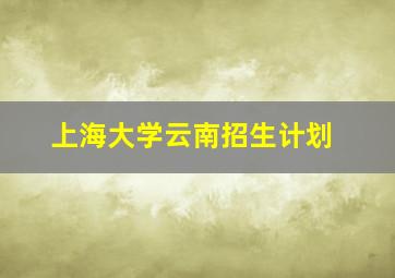 上海大学云南招生计划