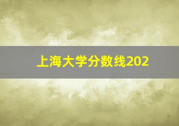 上海大学分数线202