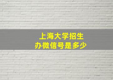 上海大学招生办微信号是多少