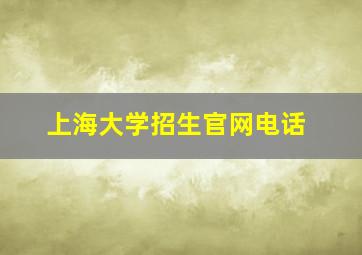 上海大学招生官网电话