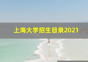 上海大学招生目录2021