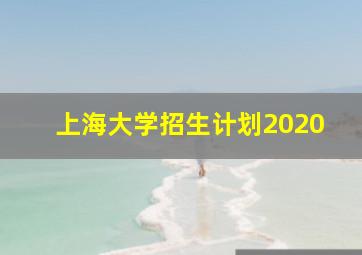 上海大学招生计划2020