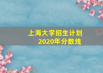 上海大学招生计划2020年分数线