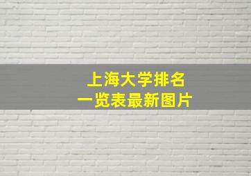 上海大学排名一览表最新图片