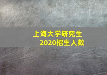 上海大学研究生2020招生人数