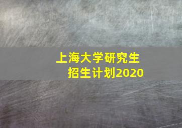 上海大学研究生招生计划2020