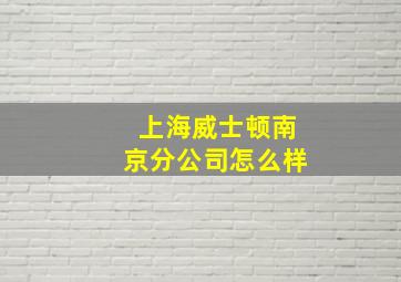 上海威士顿南京分公司怎么样